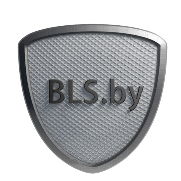 bls-logo-2.jpg